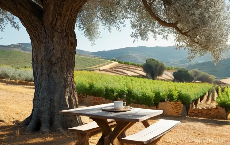 농업 생태 관광 - **Prompt:** "A serene, sun-drenched morning on a Spanish agrotourism farm. The image captures a rust...
